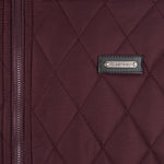 FALKENSTEJN Ilian Herren-Steppjacke für Frühling & Herbst – stilvolle, funktionale & hochwertige Herren-Übergangsjacke